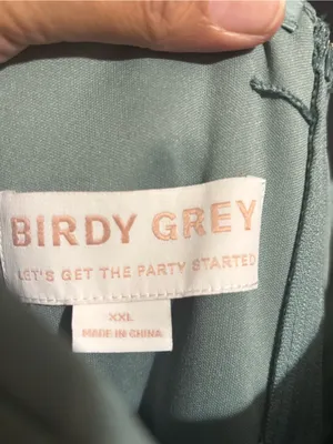Birdy Grey Sleeveless Light Sage Chiffon Maxi Dress Elegant Women's Evening Gown thumbnail 6