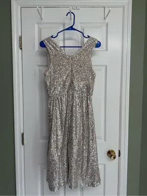 Draper James Champagne Sequin A-Line dress thumbnail 2