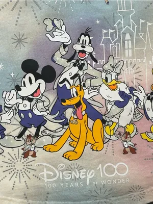 Mickey & Friends 100 yr Anniversary Pastel tie dye Disneyland spirit jersey XS thumbnail 6