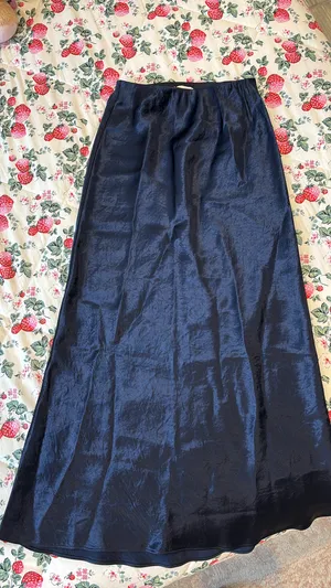 Aritzia Maxi Skirt thumbnail 1