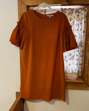 She and sky orange mini dress with ruffle sleeve thumbnail 1