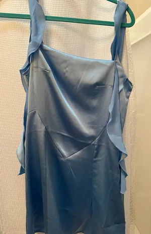 Forever 21 Dress thumbnail 1