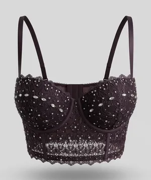 Windsor Embellished Lace Bustier Camisole - Deep Plum S Fall Pinup Coquette Punk thumbnail 1