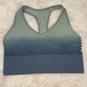 PINK Victoria's Secret Blue Ombre Sports Bra Size XL thumbnail 1