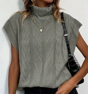 SheIn Solid Turtleneck Knit Top thumbnail 1