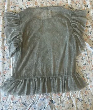 ZARA Sheer Top thumbnail 2