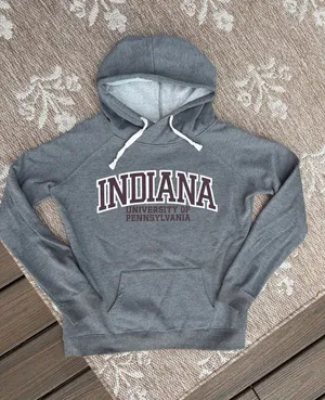 Top of the World Indiana University of Pennsylvania Gray Crewneck Sweatshirt thumbnail 1