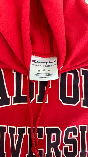 Champion Radford  Hoodie Women thumbnail 4