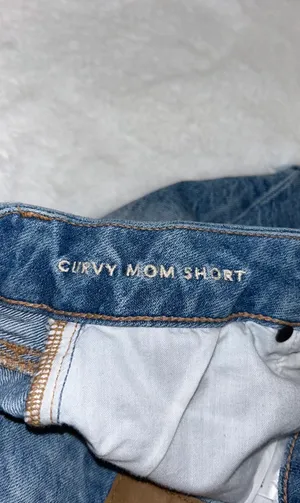 American Eagle Outfitters Curvy Mom Shorts thumbnail 2