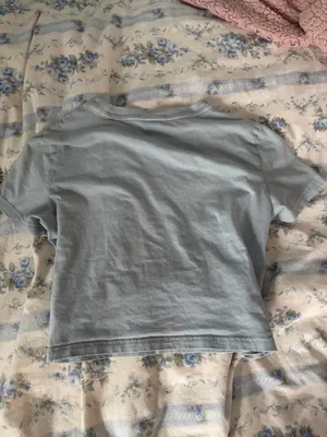 Aritzia light blue cropped tee thumbnail 2