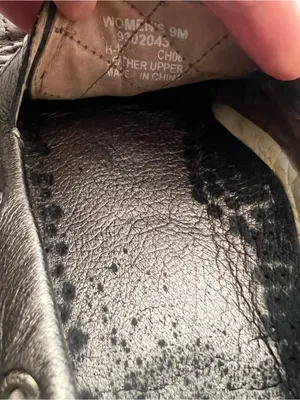 Sperry Metallic Quilted Leather Boat Shoes Size 9 thumbnail 14