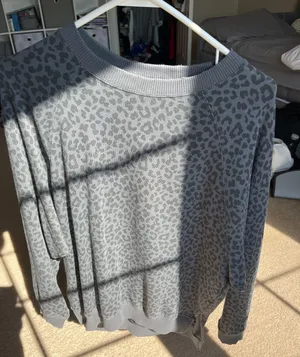 American Eagle Outfitters Oversized Crewneck thumbnail 1
