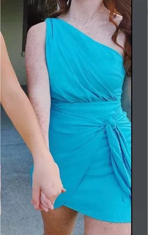 Showpo Dress Mini thumbnail 3