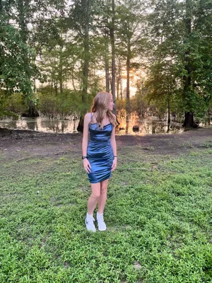 Windsor Blue Dress Mini thumbnail 4