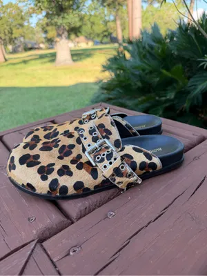 ALOHAS Halia Leopard Print Buckle Mules Clogs EU 41 US 10.5 $220 thumbnail 6