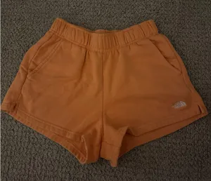 North Face Sweat Shorts thumbnail 1