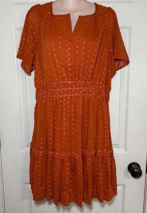 Anthropologie Fall Orange Polka V-Neck Short Sleeve Smocked Waist Short Dress L thumbnail 1