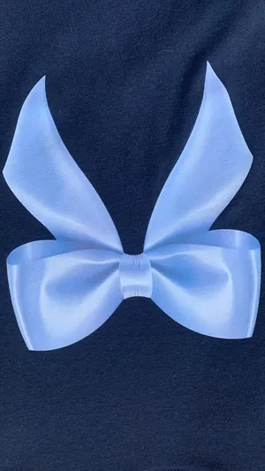 Edikted Bow Shirt thumbnail 3