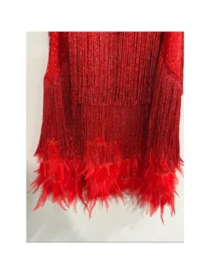 Red Fringe Gatsby Dress thumbnail 2