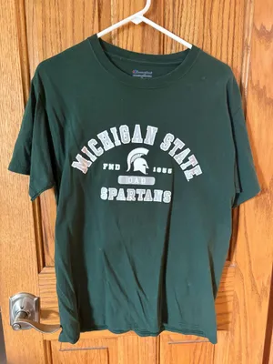 Champion Michigan State Dad T-shirt thumbnail 1