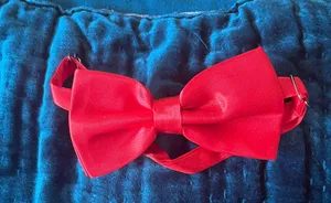 NWT Red Bow And Overalls thumbnail 2