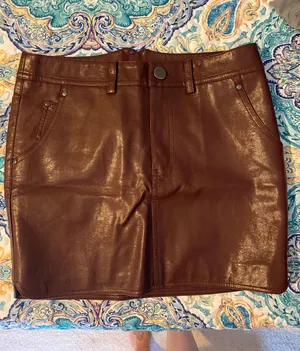 Ruby and Jenna Leather Skirt thumbnail 1