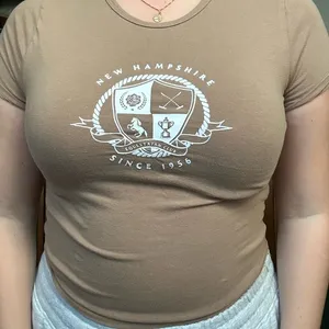 Brown Hollister Baby Tee thumbnail 1