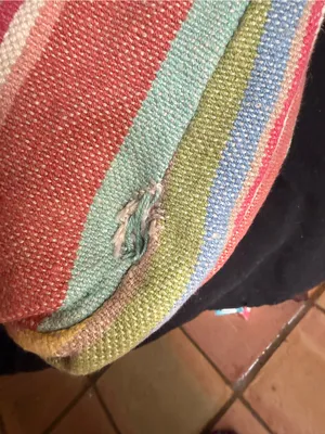 Fossil bag thumbnail 5