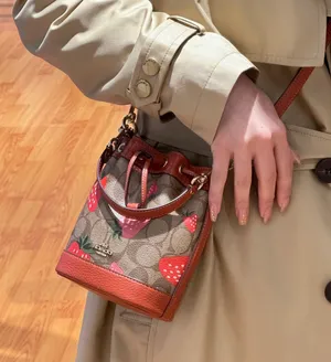 Coach Mini Dempsey Bucket Bag In Signature Canvas With Wild Strawberry CH164 thumbnail 3
