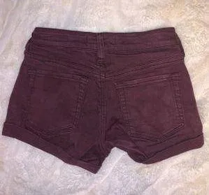 PacSun Shorts thumbnail 3