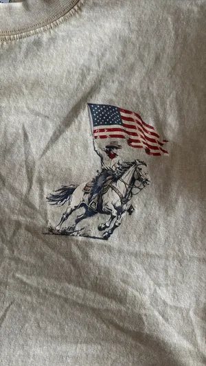America graphic tee shirt Gray thumbnail 1