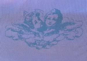 Angel Crop Top Multiple Size M thumbnail 2