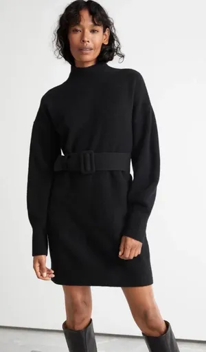 NWT & Other Stories Belted Knit Sweater Dress thumbnail 1