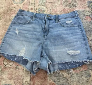 Aerie Denim Shorts thumbnail 1