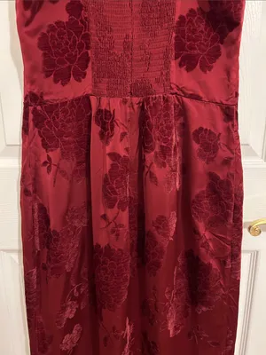 Reformation Frankie Scarlet Slip Maxi Dress Floral Velvet Burnout New Size 10 thumbnail 12