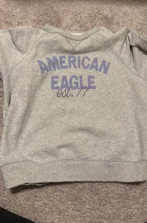 American Eagle Outfitters Sweatshirt thumbnail 1