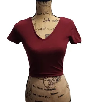 Wild‎ Fable Burgundy V-Neck Crop Top Basic Fitted Short Sleeve T-Shirt Size S thumbnail 1