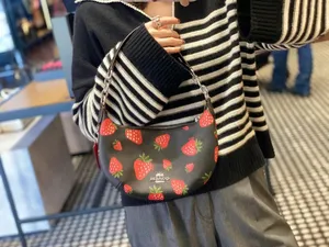 Coach Payton Hobo With Wild Strawberry Print CH330 thumbnail 8