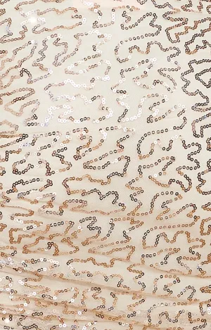 Hello Molly Maxi Sequin Dress thumbnail 3