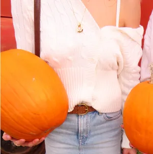 Brandy Melville Sweater thumbnail 2