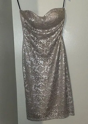 Beautiful!!! Bebe M dress top lace mesh and satin feel under dress thumbnail 1