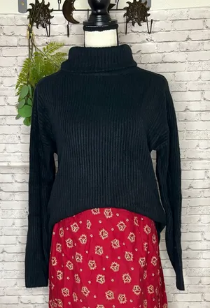 VICI Black Ribbed Stretch Turtleneck Sweater thumbnail 1