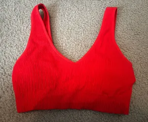 Aerie Bra Sports thumbnail 1