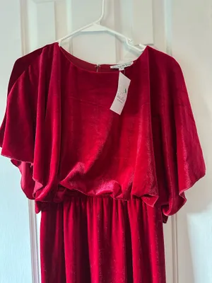 See and be Seen Velvet Dress thumbnail 3