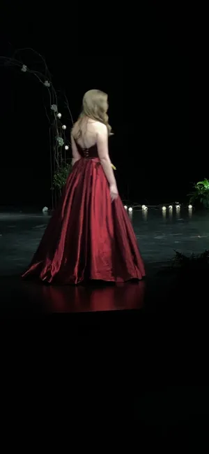 Sherri Hill Ball Gown thumbnail 2