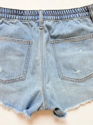 aerie Daydream Light Blue Distressed Denim Shorts thumbnail 3