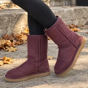 UGG Classic Short II in Port Purple Boots Size 6 thumbnail 1