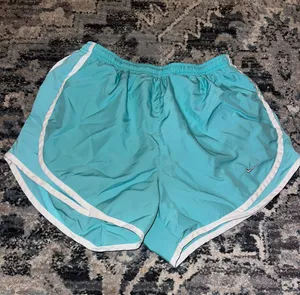 Nike Shorts thumbnail 1