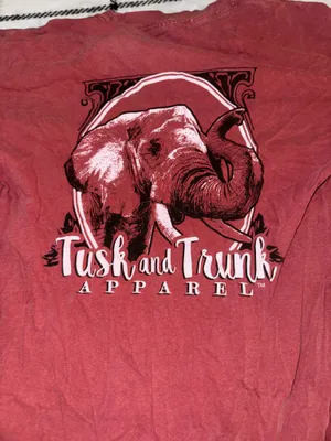 Alabama Comfort Colors T-Shirt thumbnail 3