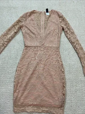 Windsor Long Sleeve Lace Bodycon Dress in Blush Size XS 90% Nylon thumbnail 14